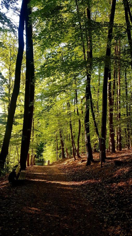 Gaestehaus Schu Marpingen エクステリア 写真